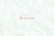Gạch Ốp Lát APODIO 66285031